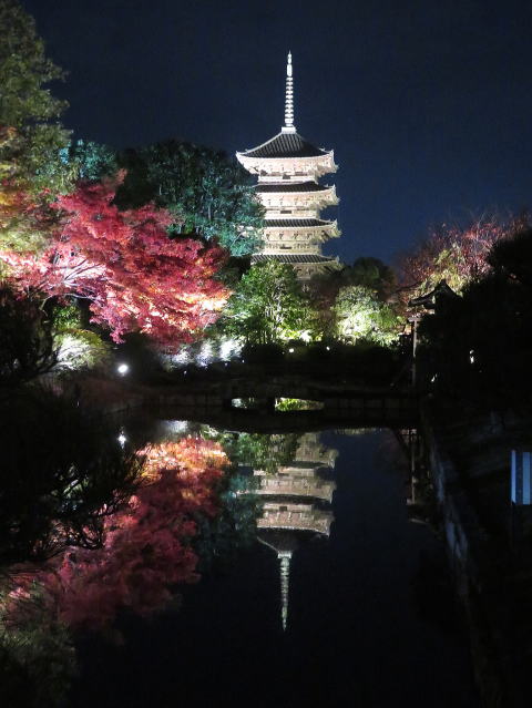 ���C�g�A�b�v