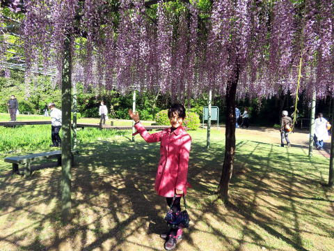 長藤