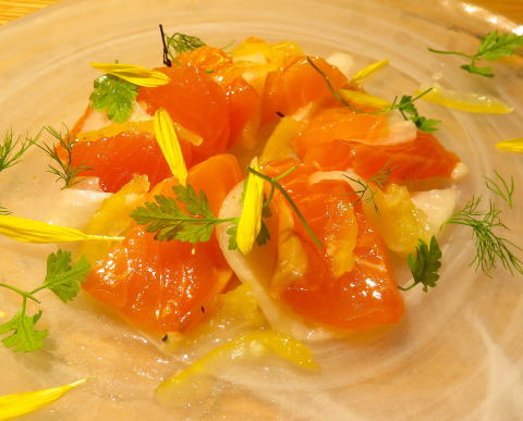 �T�[����