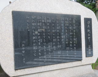 H열V