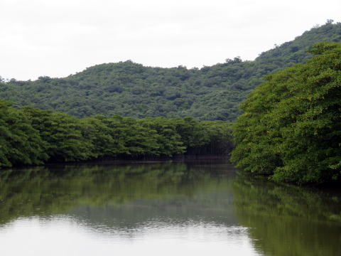仲良川